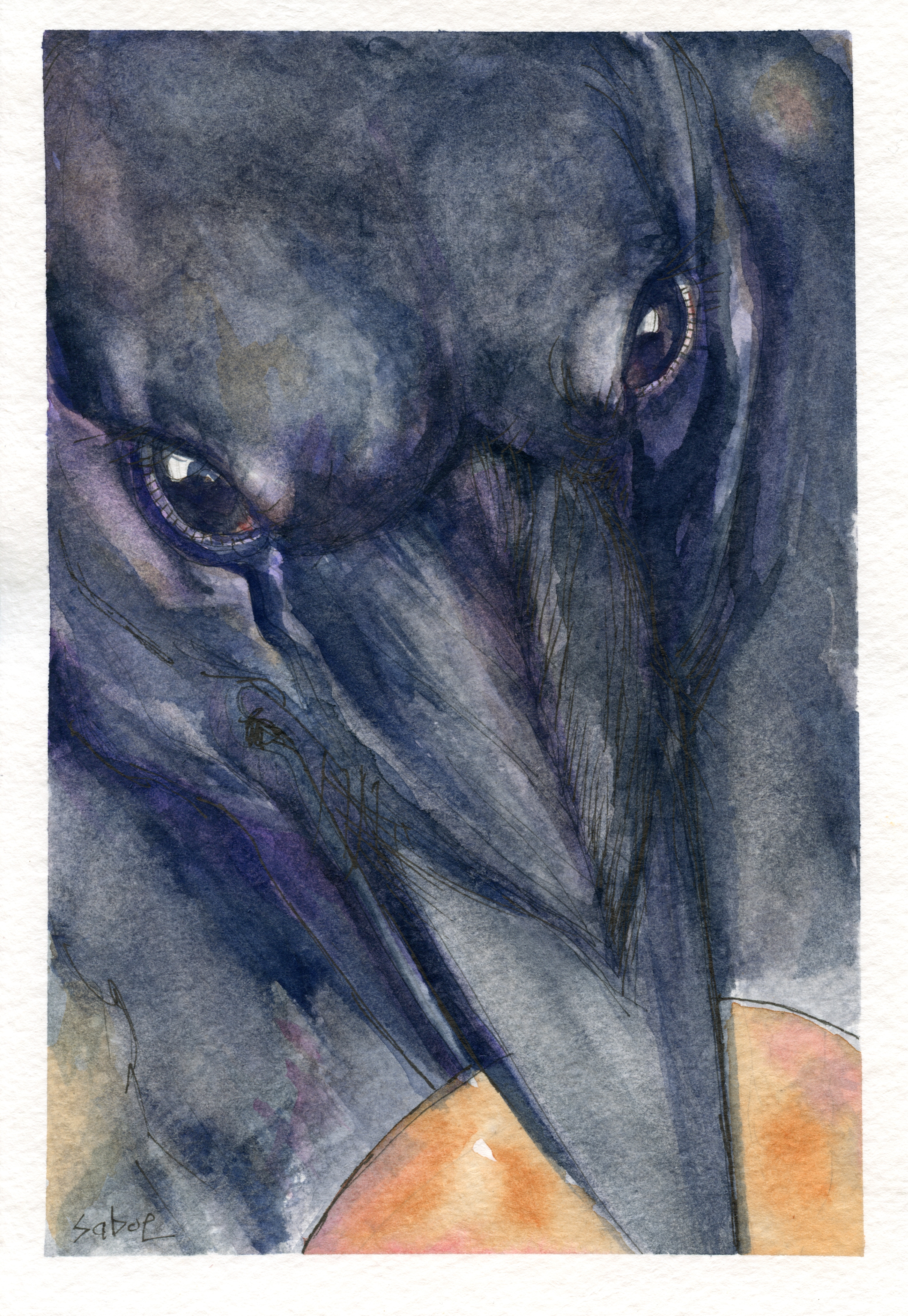 Crow with Orange Disk by Linda Saboe