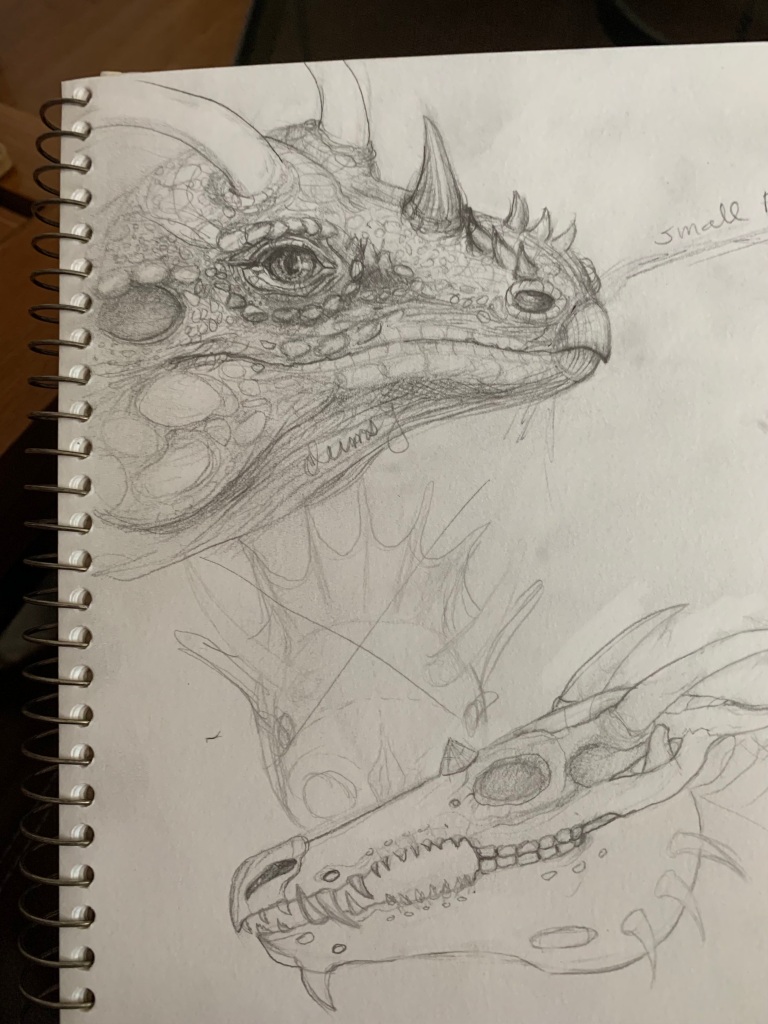 more dragon doodles